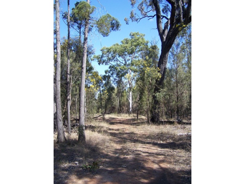 Lot 19,  V BELLS ROAD, Chinchilla QLD 4413