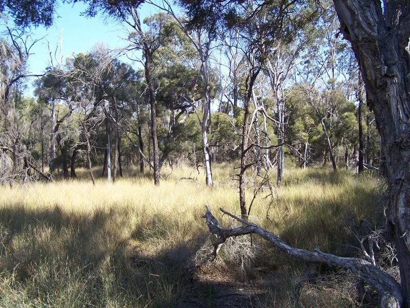 Lot 19,  V BELLS ROAD, Chinchilla QLD 4413