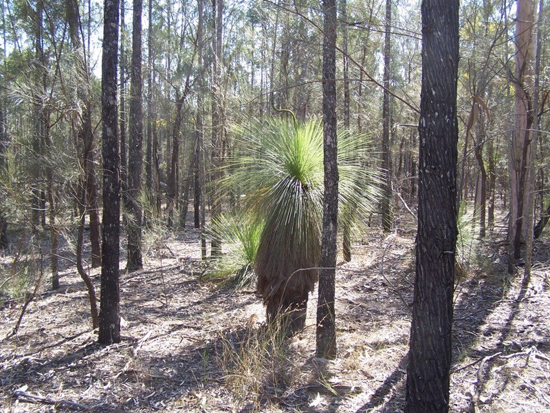 Lot 19,  V BELLS ROAD, Chinchilla QLD 4413