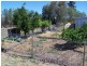 419 CHINCHILLA TARA ROAD, Chinchilla QLD 4413