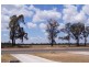 31 Racecourse Road, Miles QLD 4415