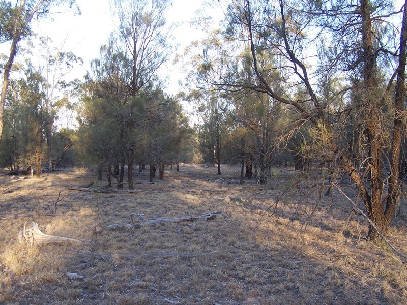 Lot 6, CHINCHILLA TARA ROAD, Chinchilla QLD 4413