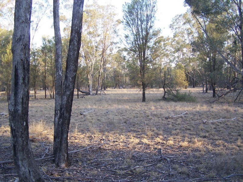 Lot 6, CHINCHILLA TARA ROAD, Chinchilla QLD 4413