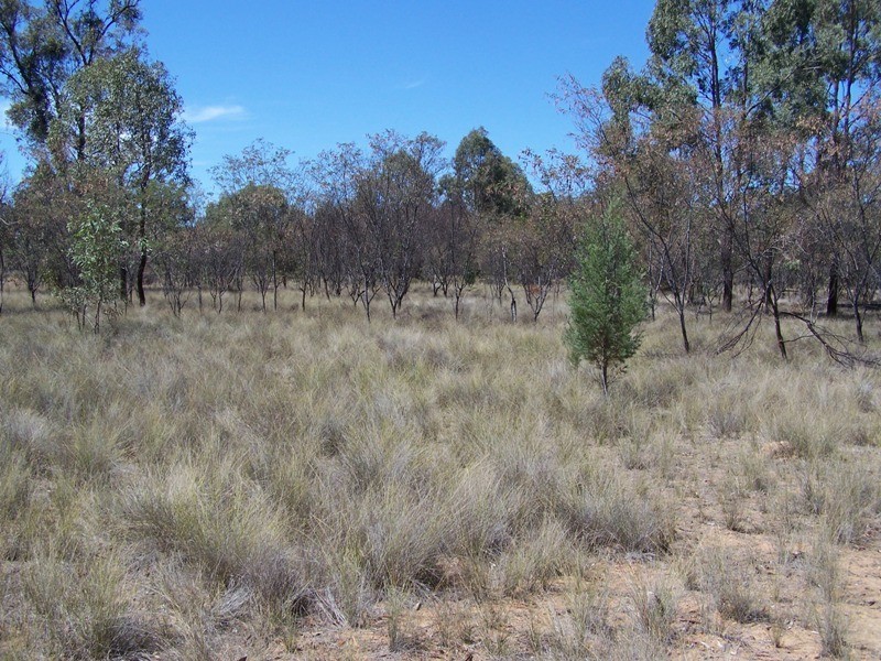 Lot 109,  WIDDONS ROAD, Chinchilla QLD 4413