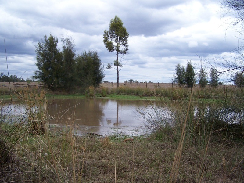 Lot 11, GLEESONS ROAD, Chinchilla QLD 4413