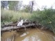 Lot 11, GLEESONS ROAD, Chinchilla QLD 4413