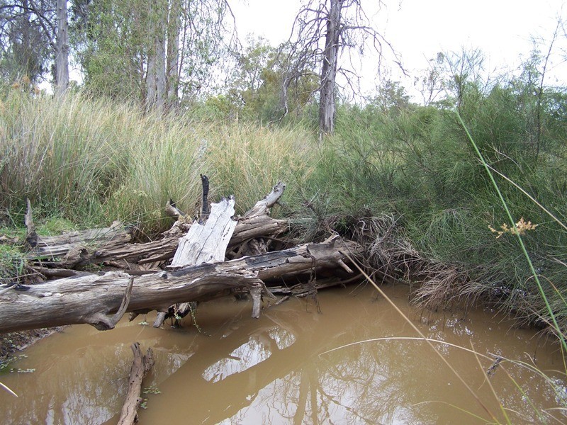 Lot 11, GLEESONS ROAD, Chinchilla QLD 4413