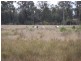 Lot 11, GLEESONS ROAD, Chinchilla QLD 4413