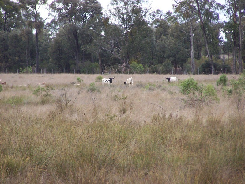 Lot 11, GLEESONS ROAD, Chinchilla QLD 4413