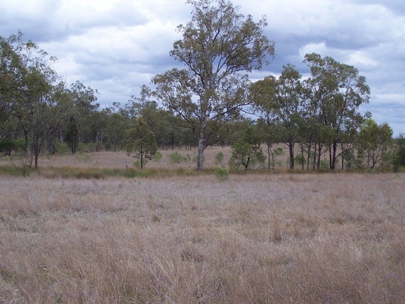 Lot 11, GLEESONS ROAD, Chinchilla QLD 4413