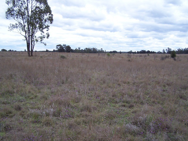 Lot 11, GLEESONS ROAD, Chinchilla QLD 4413