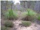 Lot 178, 0 TREGATHLYN ROAD, Tara QLD 4421