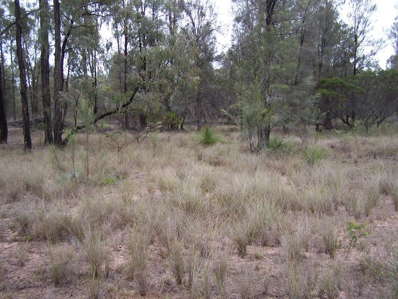 Lot 178, 0 TREGATHLYN ROAD, Tara QLD 4421