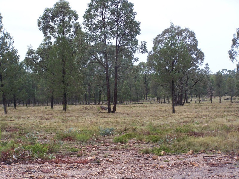 877 MALES DRIVE, Tara QLD 4421