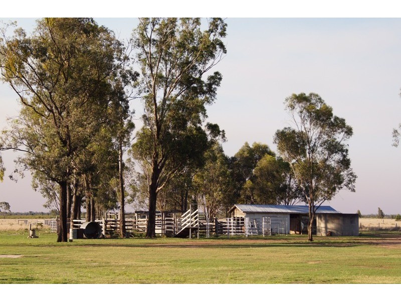 770 AUBURN ROAD, Chinchilla QLD 4413