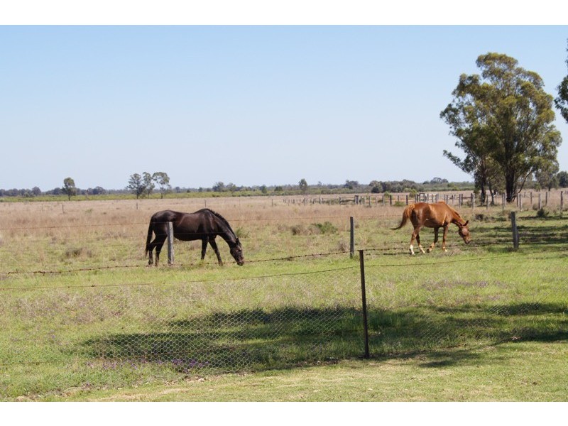 770 AUBURN ROAD, Chinchilla QLD 4413