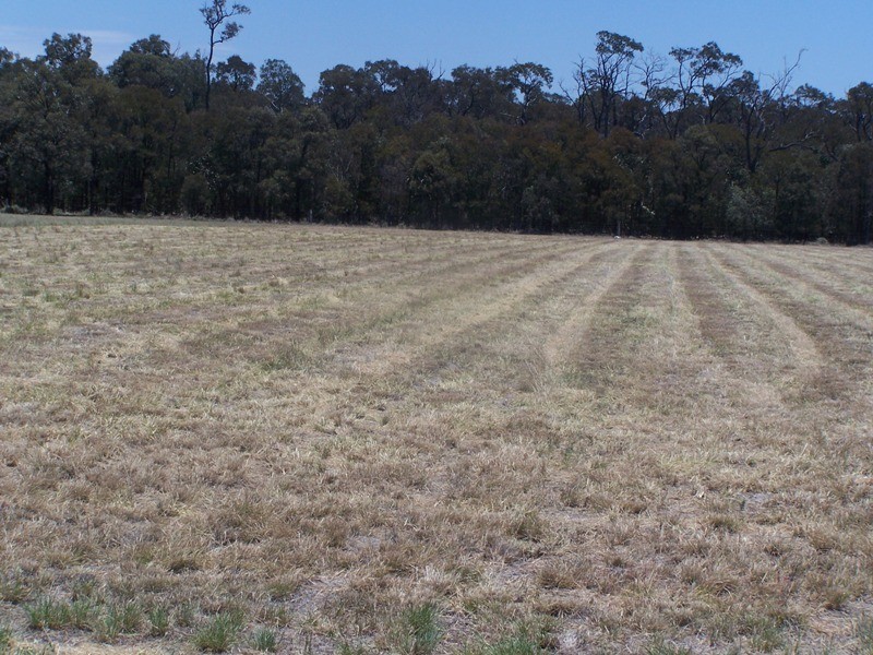 Lot 14,  AINSWORTH STREET, Chinchilla QLD 4413