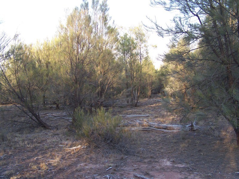 Lot 6, CHINCHILLA TARA ROAD, Chinchilla QLD 4413