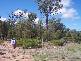 Chinchilla – Tara Road, Wieambilla QLD 4413