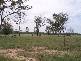 Old Man Lagoon Road, Chinchilla QLD 4413