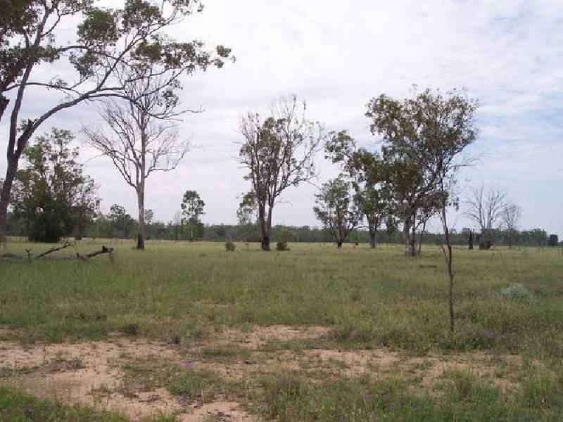 Old Man Lagoon Road, Chinchilla QLD 4413