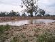 Old Man Lagoon Road, Chinchilla QLD 4413