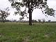 Old Man Lagoon Road, Chinchilla QLD 4413