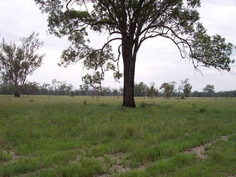 Old Man Lagoon Road, Chinchilla QLD 4413