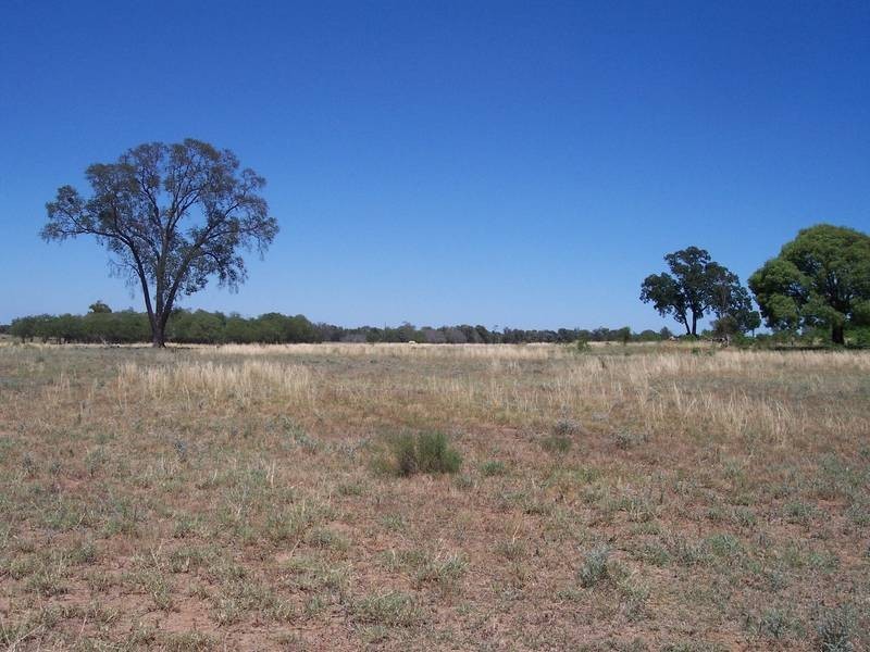 Chinchilla QLD 4413