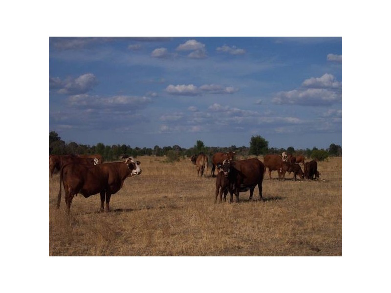 2 C Kerrs Rd, Chinchilla QLD 4413