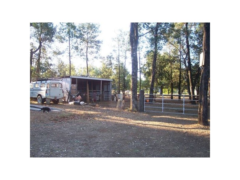 56 Rider Street, Chinchilla QLD 4413