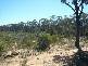 3 Unnamed Rd off Upper Humbug Rd, Tara QLD 4421