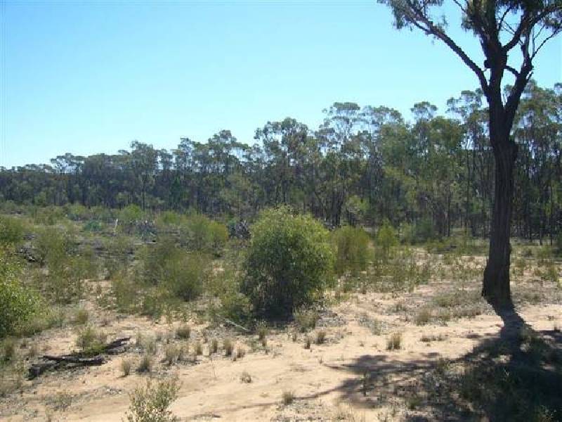 3 Unnamed Rd off Upper Humbug Rd, Tara QLD 4421