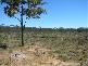 3 Unnamed Rd off Upper Humbug Rd, Tara QLD 4421