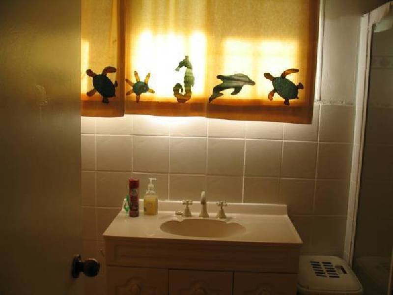 3 Zanoni Street, Chinchilla QLD 4413