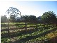 906 Hickey Street, Jandowae QLD 4410