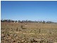 1 Dahlers Road, Chinchilla QLD 4413