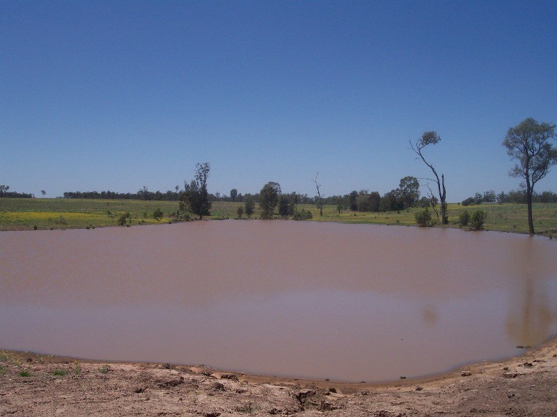 Dulacca QLD 4425