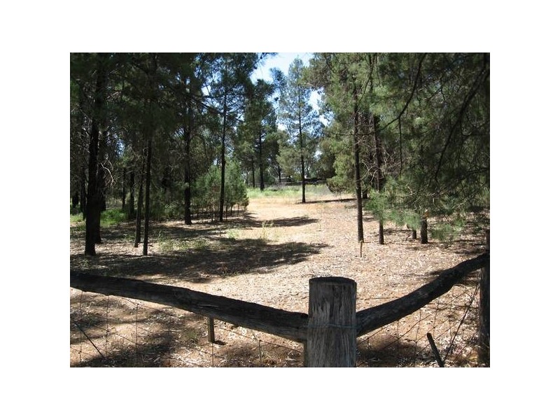 1 Durah, Chinchilla QLD 4413