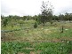 70 Rider, Chinchilla QLD 4413