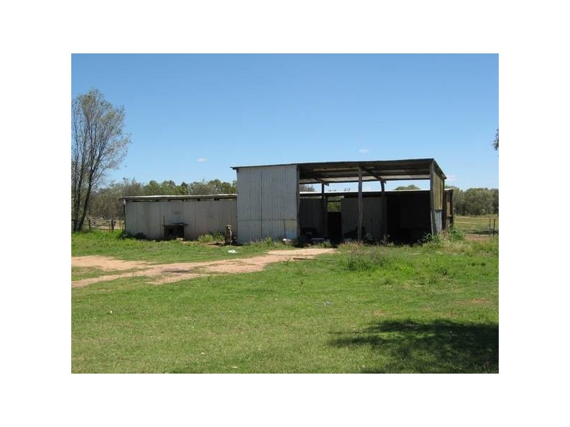 86 Rider, Chinchilla QLD 4413