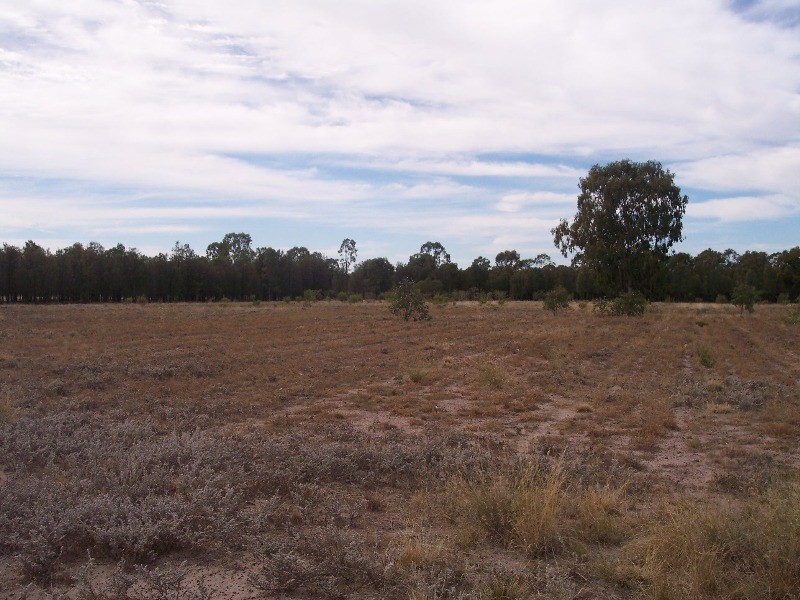 943 Wieambilla Road, Chinchilla QLD 4413