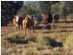 Lot 3,  Red Hill Road, Chinchilla QLD 4413