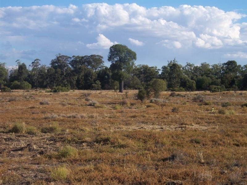 Lot 3,  Red Hill Road, Chinchilla QLD 4413
