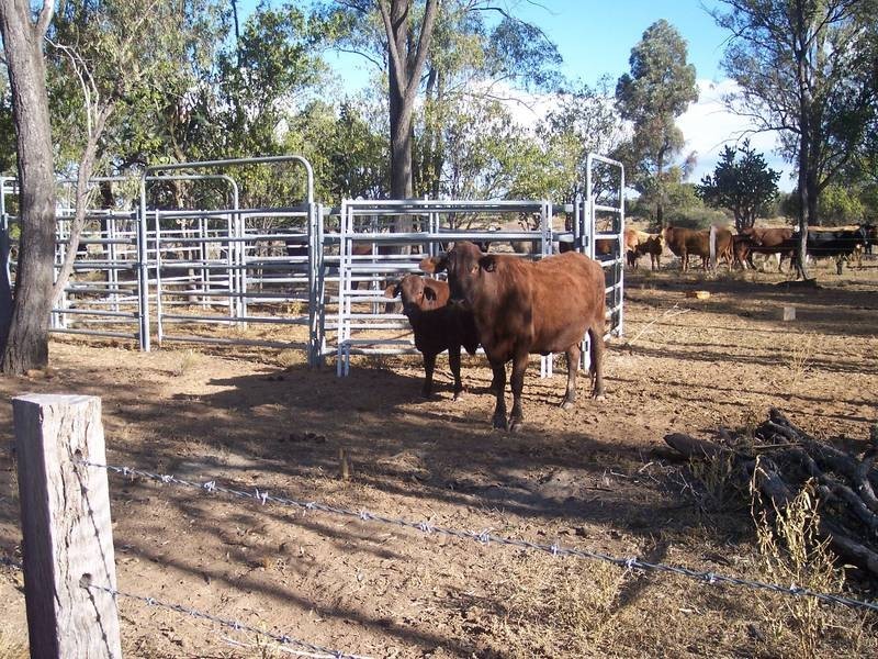 Lot 3,  Red Hill Road, Chinchilla QLD 4413
