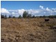 Lot 3,  Red Hill Road, Chinchilla QLD 4413