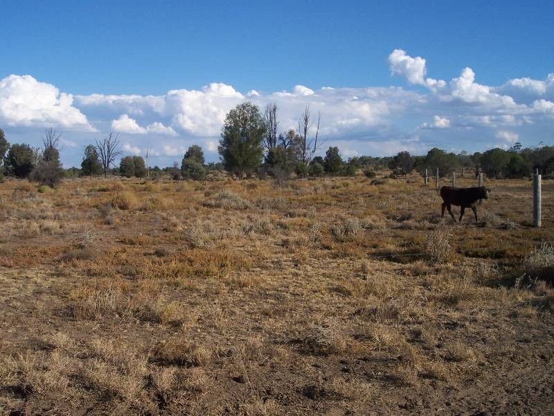 Lot 3,  Red Hill Road, Chinchilla QLD 4413