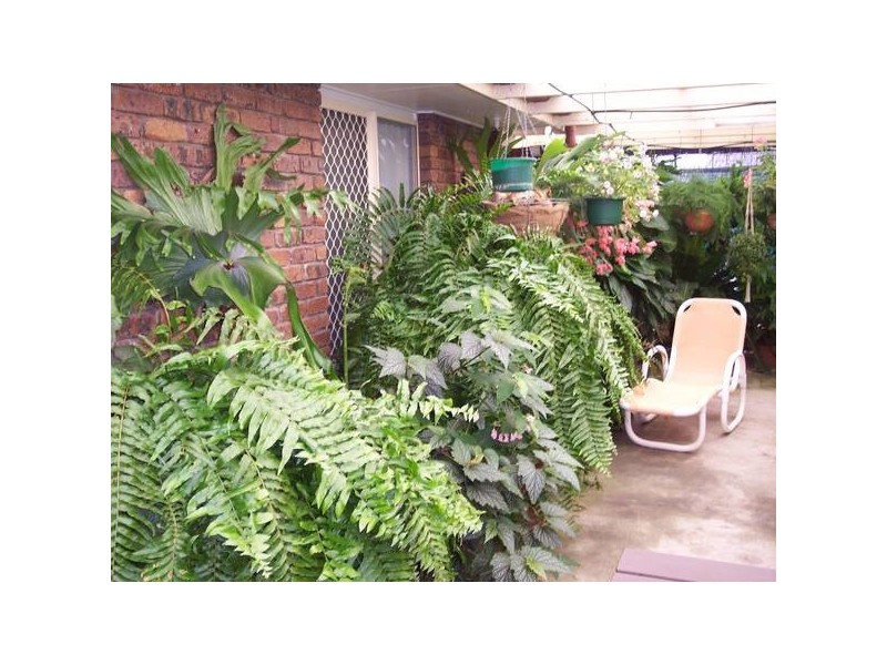 99 Oak Street, Chinchilla QLD 4413