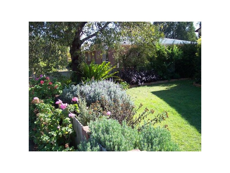 99 Oak Street, Chinchilla QLD 4413