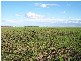Gadsbys Road, Jandowae QLD 4410